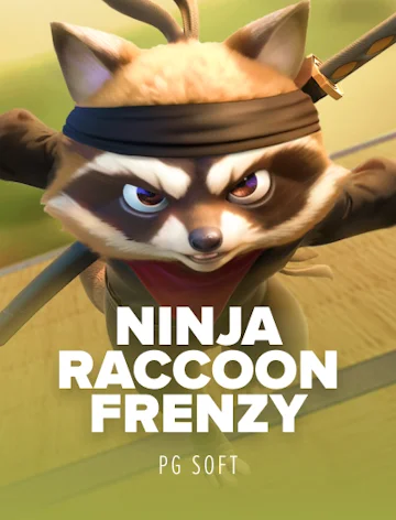 Ninja Raccoon Frenzy