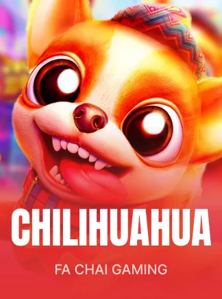 CHILIHUAHUA